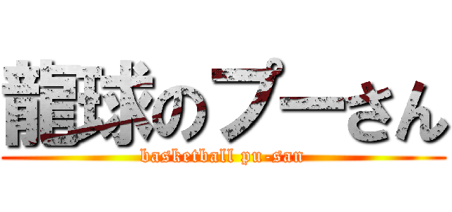 龍球のプーさん (basketball pu-san)