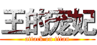 王的宠妃 (attack on titan)