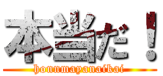 本当だ！ (honnmayanaikai)