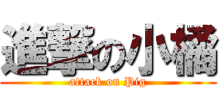 進撃の小橘 (attack on Pig)