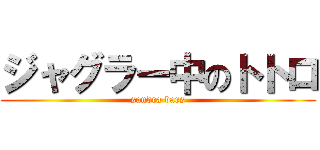 ジャグラー中のトトロ (sandra bars)