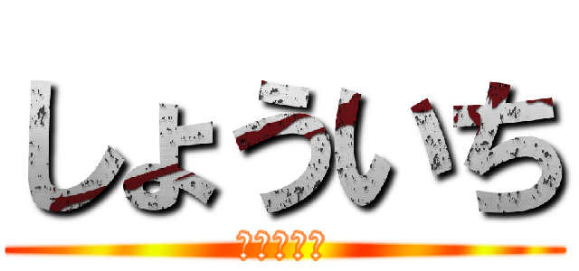 しょういち (わっしょい)