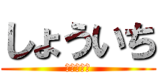 しょういち (わっしょい)