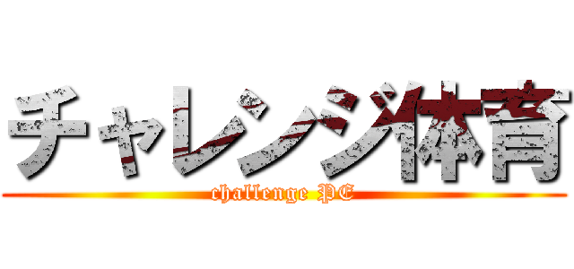 チャレンジ体育 (challenge PE)