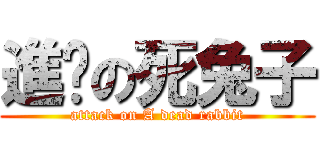 進擊の死兔子 (attack on A dead rabbit)