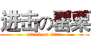 进击の罂粟 (attack on titan)