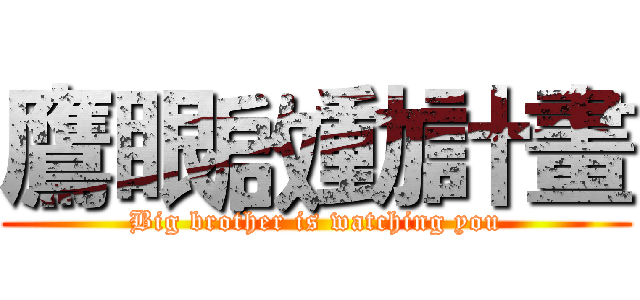 鷹眼啟動計畫 (Big brother is watching you)