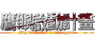 鷹眼啟動計畫 (Big brother is watching you)