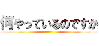 何やっているのですか ()