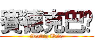 賽德克巴萊 (Seedig Bale)