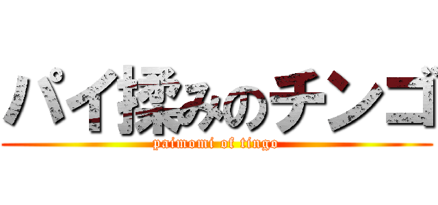パイ揉みのチンゴ (paimomi of tingo)