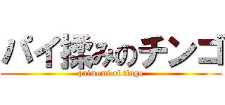 パイ揉みのチンゴ (paimomi of tingo)