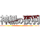 神級の夜羽 (attack on plume)
