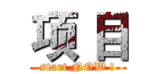 项 目 (start NOW !)