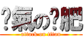煞氣の洨肥 (attack on titan)