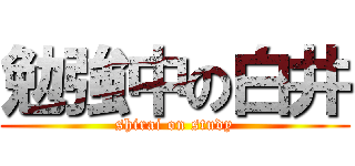 勉強中の白井 (shirai on study)