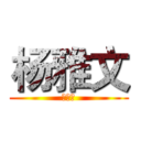 杨雅文 (杨雅文)