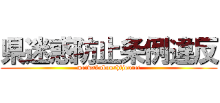 県迷惑防止条例違反 (meiwakuboushijourei)