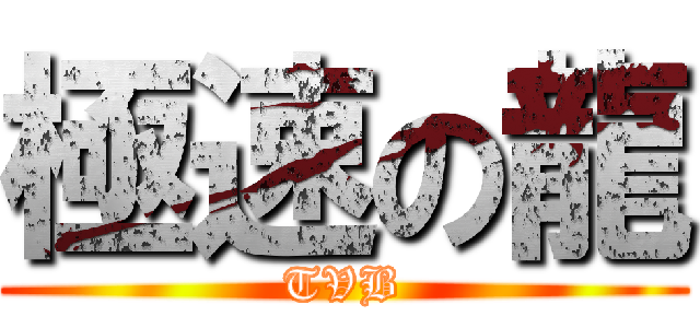 極速の龍 (TVB)