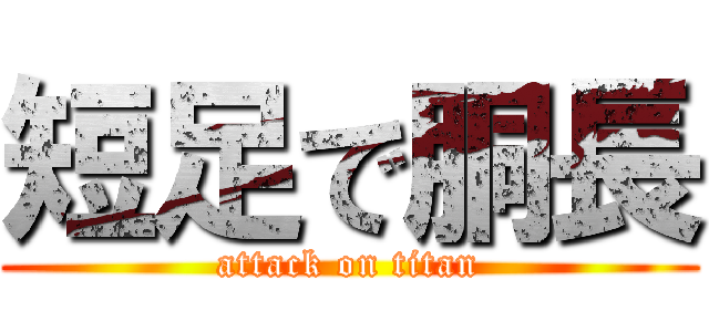 短足で胴長 (attack on titan)