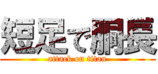 短足で胴長 (attack on titan)