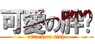 可愛の胖俞 (attack on fish)
