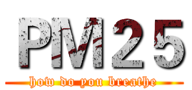 ＰＭ２５ (how do you breathe)
