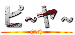 ピ～ヤ～ ((・。・))