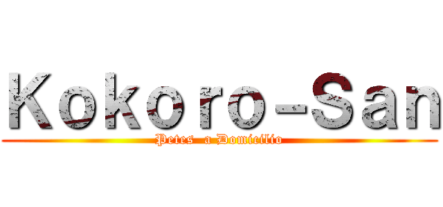 Ｋｏｋｏｒｏ－Ｓａｎ (Petes  a Domicilio)