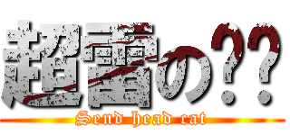 超雷の貓咪 (Send head cat)