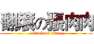 翻滾の張肉肉 (attack on titan)