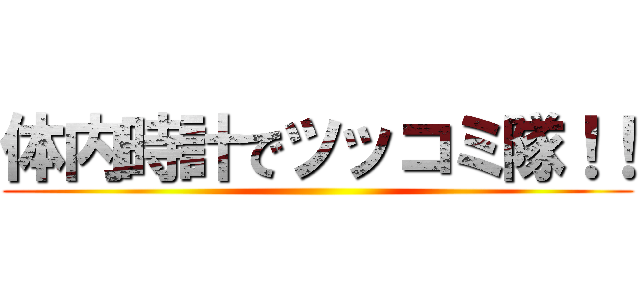 体内時計でツッコミ隊！！ ()