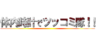 体内時計でツッコミ隊！！ ()