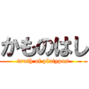 かものはし (truth of platypus)