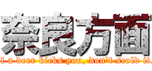 奈良方面 (If a deer kicks you, don't scold it.)