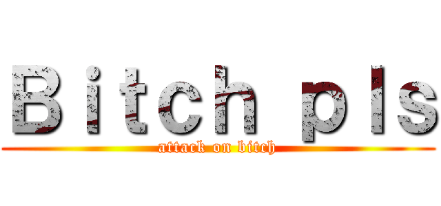 Ｂｉｔｃｈ ｐｌｓ (attack on bitch)