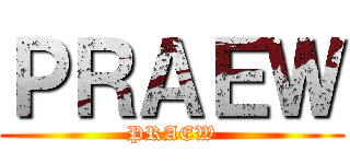ＰＲＡＥＷ (PRAEW)