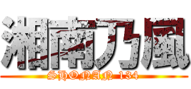 湘南乃風 (SHONAN 134)