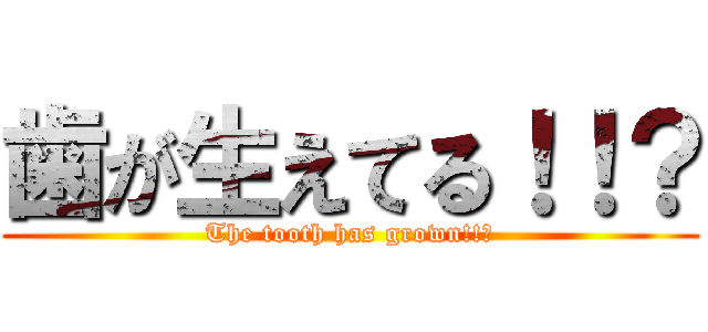 歯が生えてる！！？ (The tooth has grown!!?)