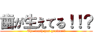 歯が生えてる！！？ (The tooth has grown!!?)