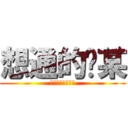 想通的查某 (哈土耳其男人的屌)