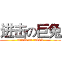 进击の巨兔 (attack on rabbit)