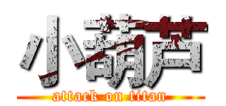 小葫芦 (attack on titan)