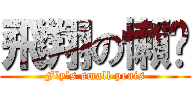 飛翔の懶趴 (Fly’s small penis)