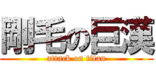 剛毛の巨漢 (attack on titan)