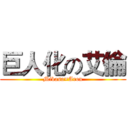 巨人化の艾倫 (Mikasa×Aron)