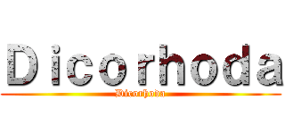 Ｄｉｃｏｒｈｏｄａ (Dicorhoda)