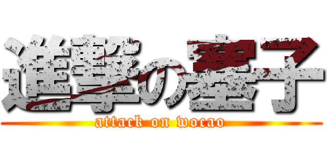 進撃の塞子 (attack on wocao)