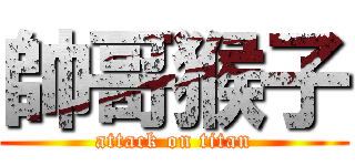 帥哥猴子 (attack on titan)