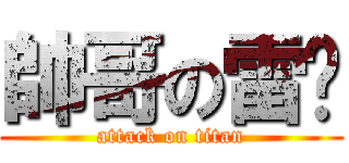 帥哥の雷酱 (attack on titan)